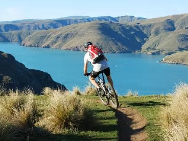 Cycle Tours and Mountain Biking